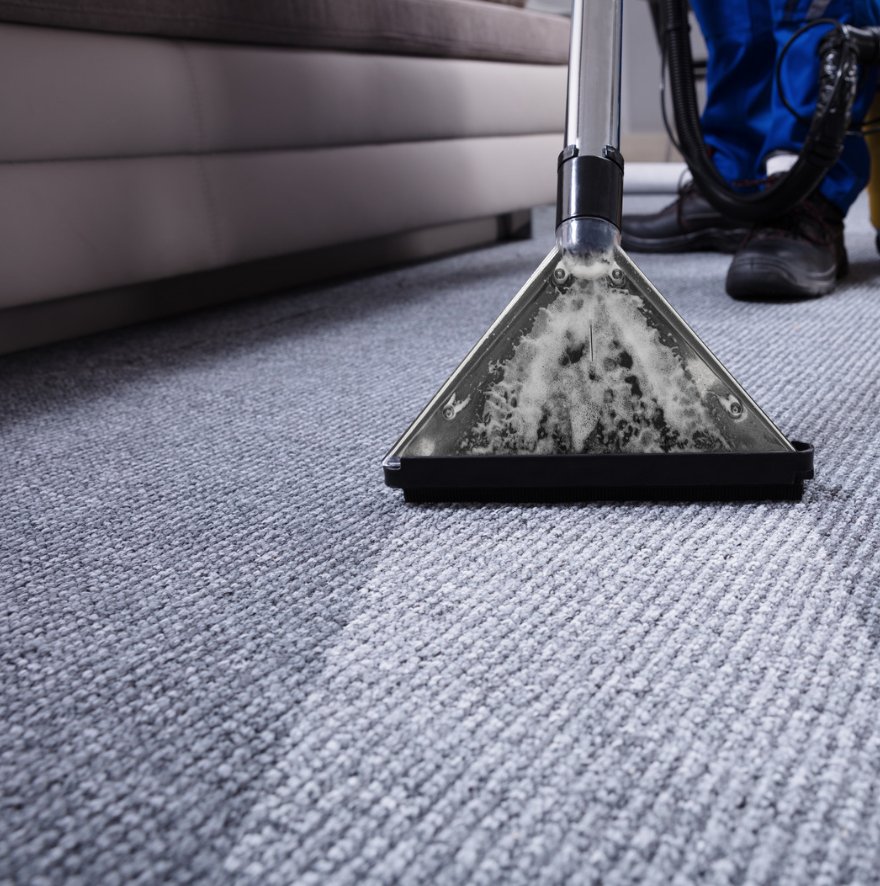 clean your carpet with cleannow